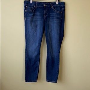 Torrid Denim Medium Wash Petite Skinny Jeans 18S